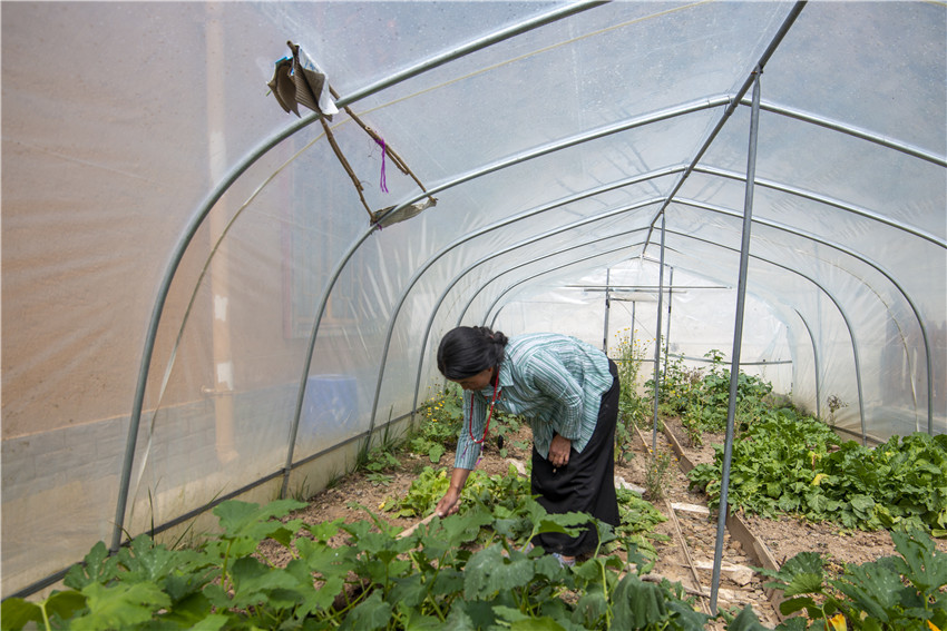 搬遷戶(hù).jpg 搬遷戶(hù).jpg