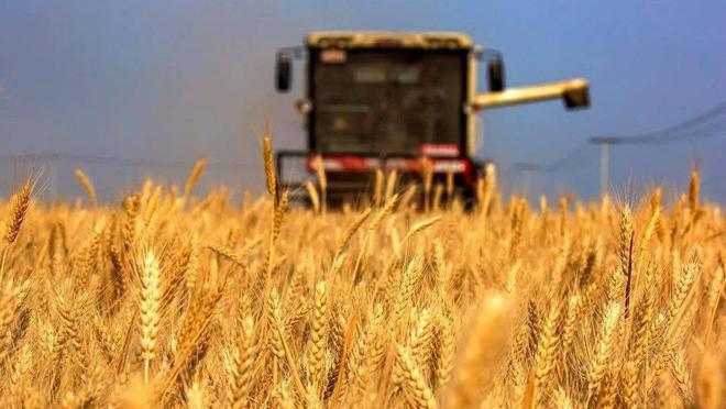 中國飯碗.jpg 中國飯碗.jpg