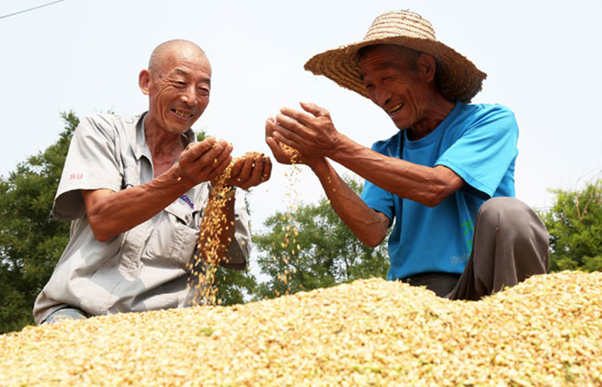 6月20京.jpg 6月20京.jpg