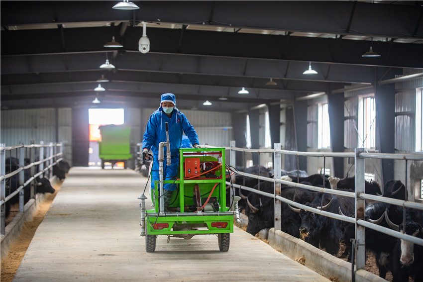 圖為理塘縣.jpg 圖為理塘縣.jpg