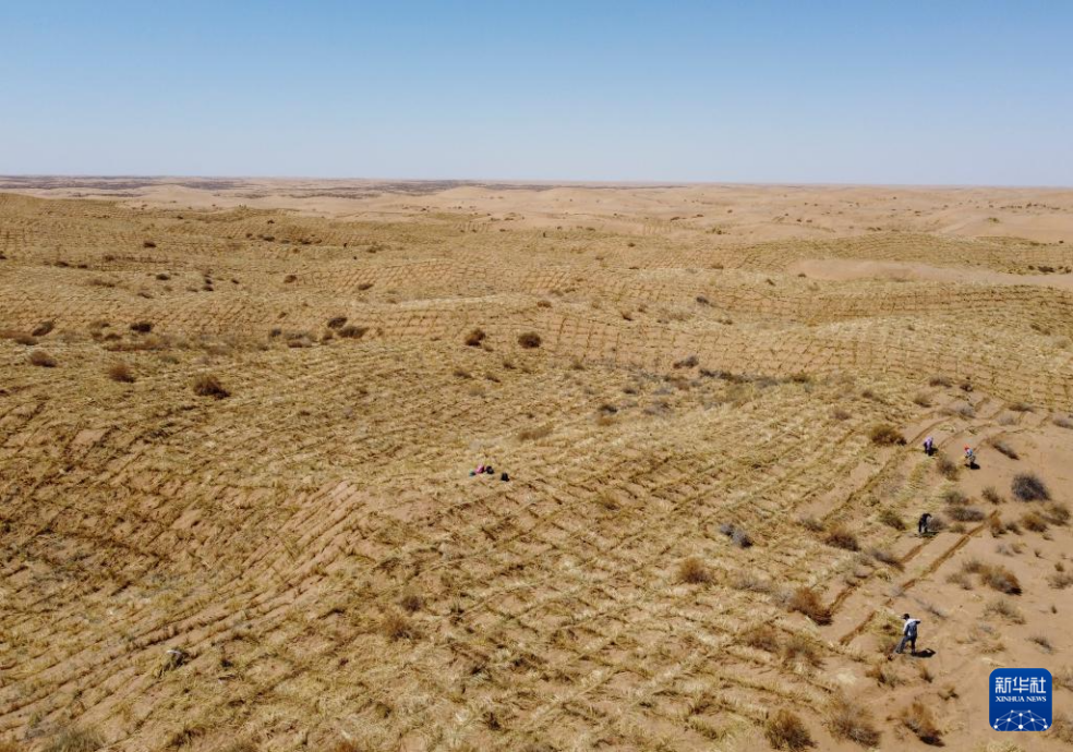 2024年4月10日，群眾在古浪縣八步沙林場麻黃塘沙區(qū)用草方格壓沙。新華社發(fā)（無人機(jī)照片）